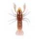 Rac siliconic LIVETARGET CRAWFISH UNRIGGED, 7.1cm, 7.1g, Brown/Yellow, 6 buc/plic