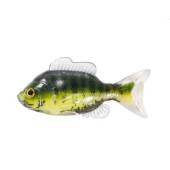 NALUCA SUNFISH UNRIGGED 11CM GREEN/CREAM 2BUC/PL