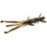 Naluca FISHUP Shrimp 7.6cm, 050 Green Pumpkin Brown Red and Purple, 9 buc/plic