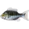 Naluca LIVETARGET SUNFISH UNRIGGED 9.7cm, Green/Pearl, 3 buc/plic