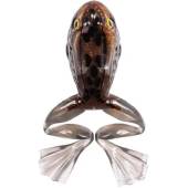 Broasca LIVETARGET FREESTYLE FROG UNRIGGED 5cm, Bronze/White, 4 buc/plic