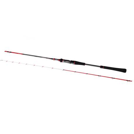 Lanseta GRAPHITELEADER PAGRO PROTOTYPE GPPS-702ML 2.08m, 100g, 2 tronsoane