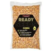 READY SEEDS CORN 1KG