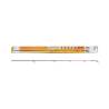 Varf de semnalizare cu LED IBITE Carp Expert Method Feeder, 3.60m fibra de sticla