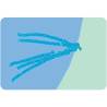Sonar lansabil DEEPER CHIRP+ 3.0