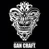 Gan Craft