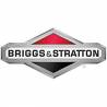 Briggs & Stratton