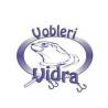 VIDRA LURES