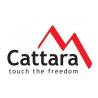 Cattara